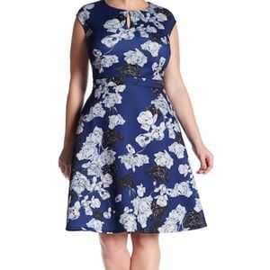Alexia Admor Floral Keyhole Fit & Flare Dress